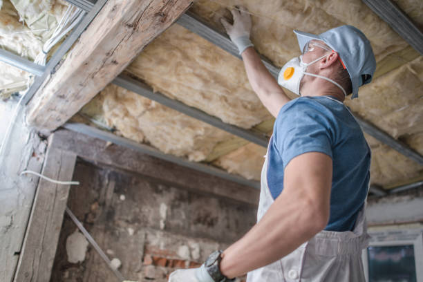 Best Spray Foam Insulation in Bishop, TX