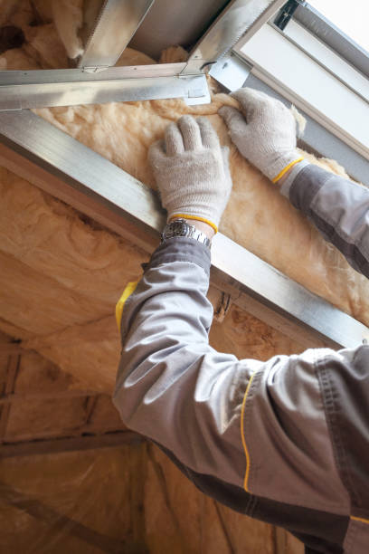 Best Energy Efficiency Insulation in Bishop, TX